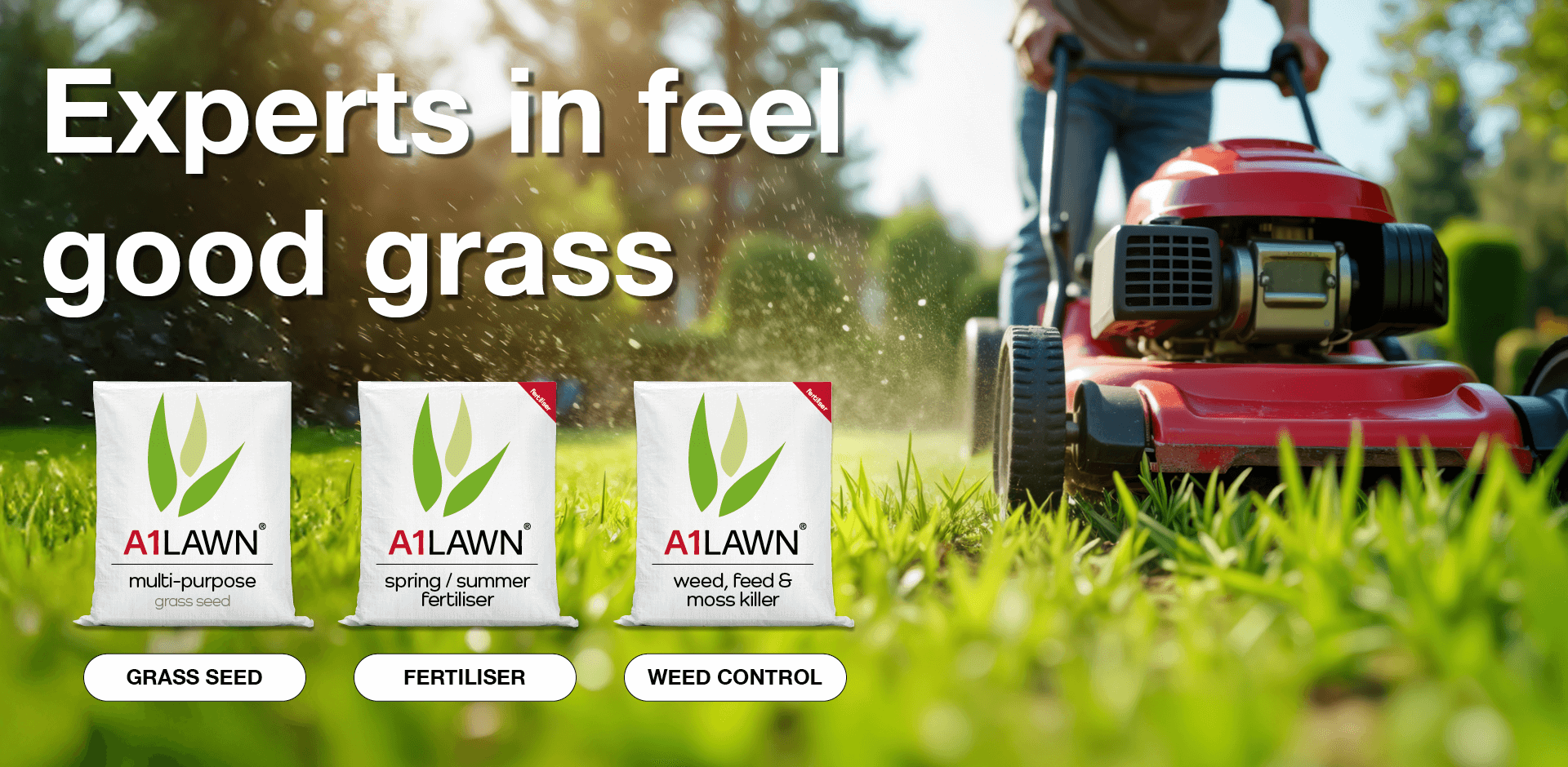 Buy Grass Seed from A1 Lawn