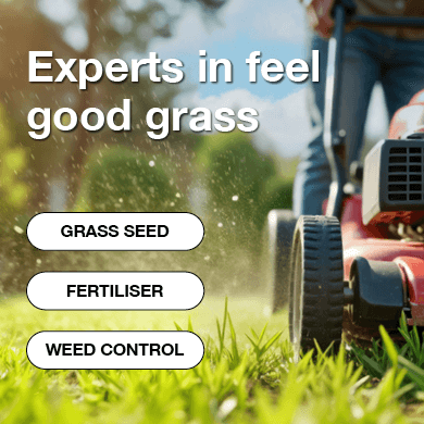 Buy Grass Seed from A1 Lawn Mobile